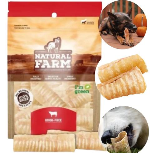 🐾 Pacote Traqueia Bovina 12 Unid Natural Mordedor Pra Cachorro Natural