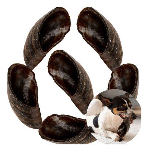 🐾 Mordedor Pet Natural 6un Casco De Boi Para Caes Bovino Preto