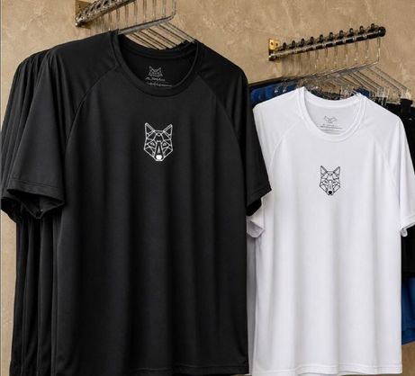 ➡️ Kit com 2 Camisetas Dry Alpha