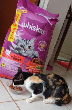 🐾 Ração Whiskas Carne Gatos Adultos 10.1kg