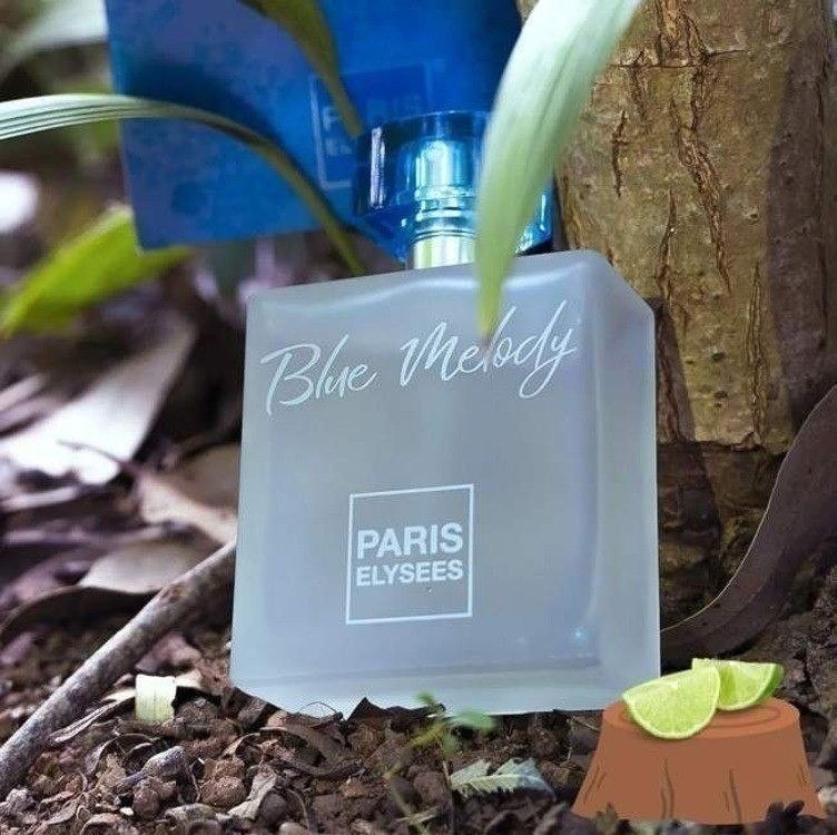 O LIGHT BLUE DAS TRABALHADORAS