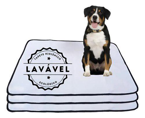 🐾 Tapete Xixi WC Dog Absorvente Adestrador Durável 100x70 XC Branco