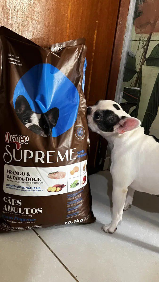 🐾 Granfita Quatree Super Premium Supreme Cão Adulto Raças Pequenas Seca