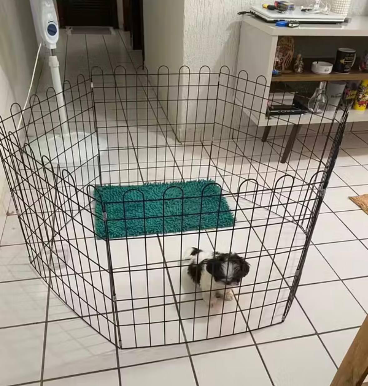 🐾 Cercado Para Cachorro De Pequeno Porte Cercadinho Pet Móvel