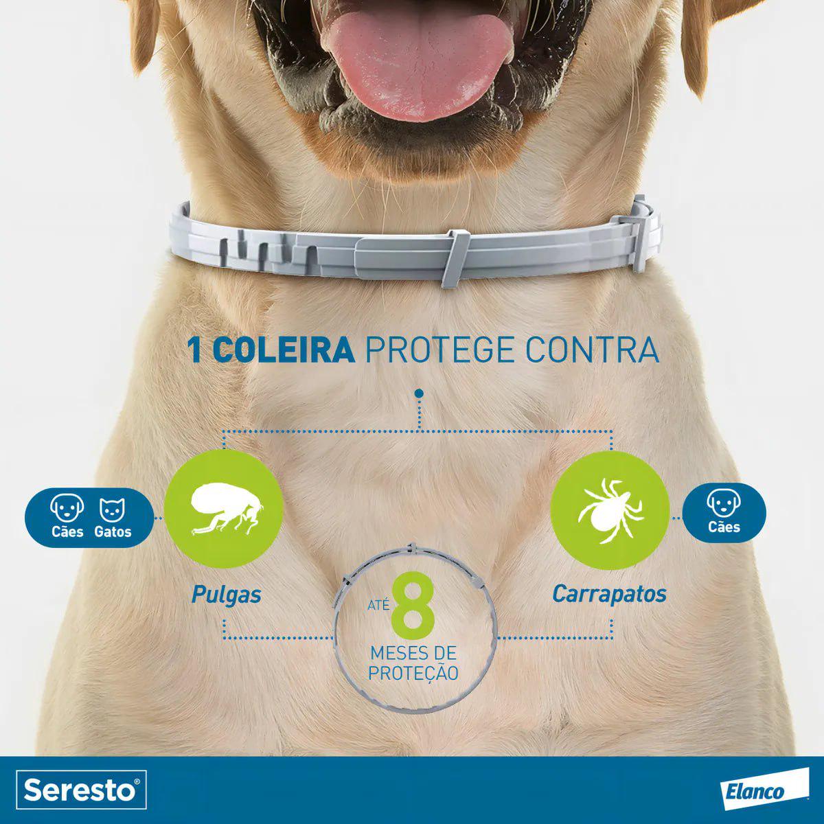 🐾 Seresto Caes E Gatos Até 8kg Coleira Antipulgas E Carrapatos Elanco