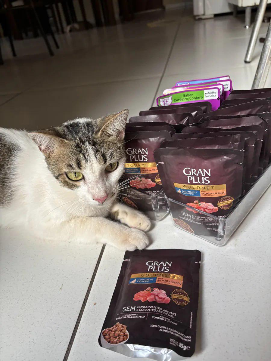 🐾 *Ração Úmida Gatos Castrados Salmão Frango Gran Plus 18 Sachês 85g*
