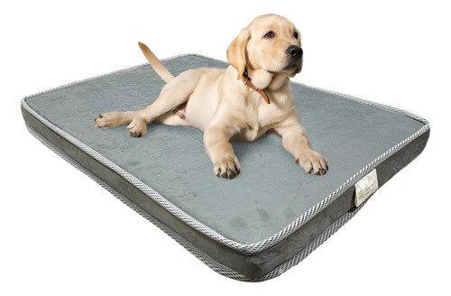 🐾 Comfortwell Colchão Pet Ortopédico Caminha Cama M Premium Para Cães Gatos Cor Cinza