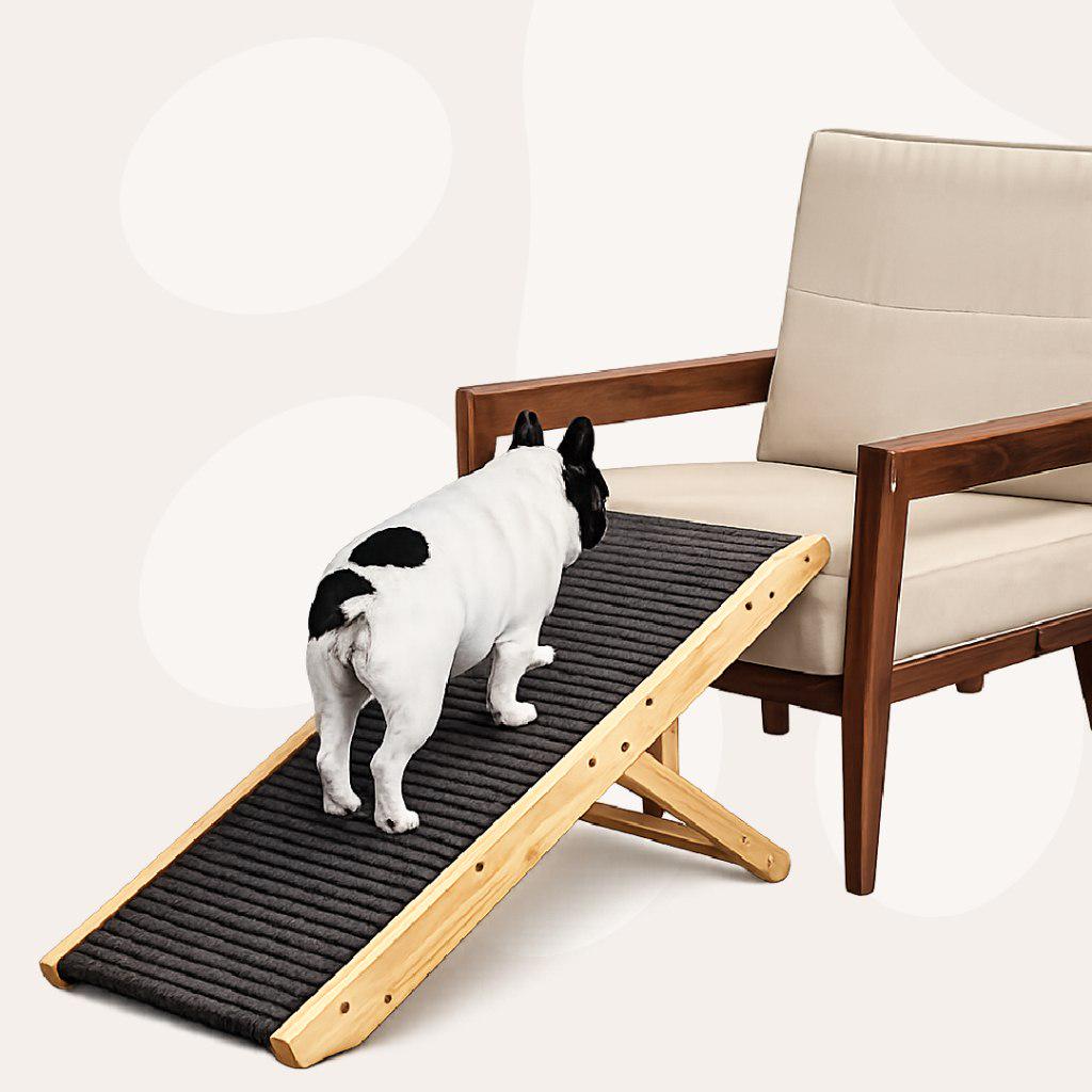 🐾 Rampa Pet P/ Cachorro Gato Antiderrapante Segura 50cm