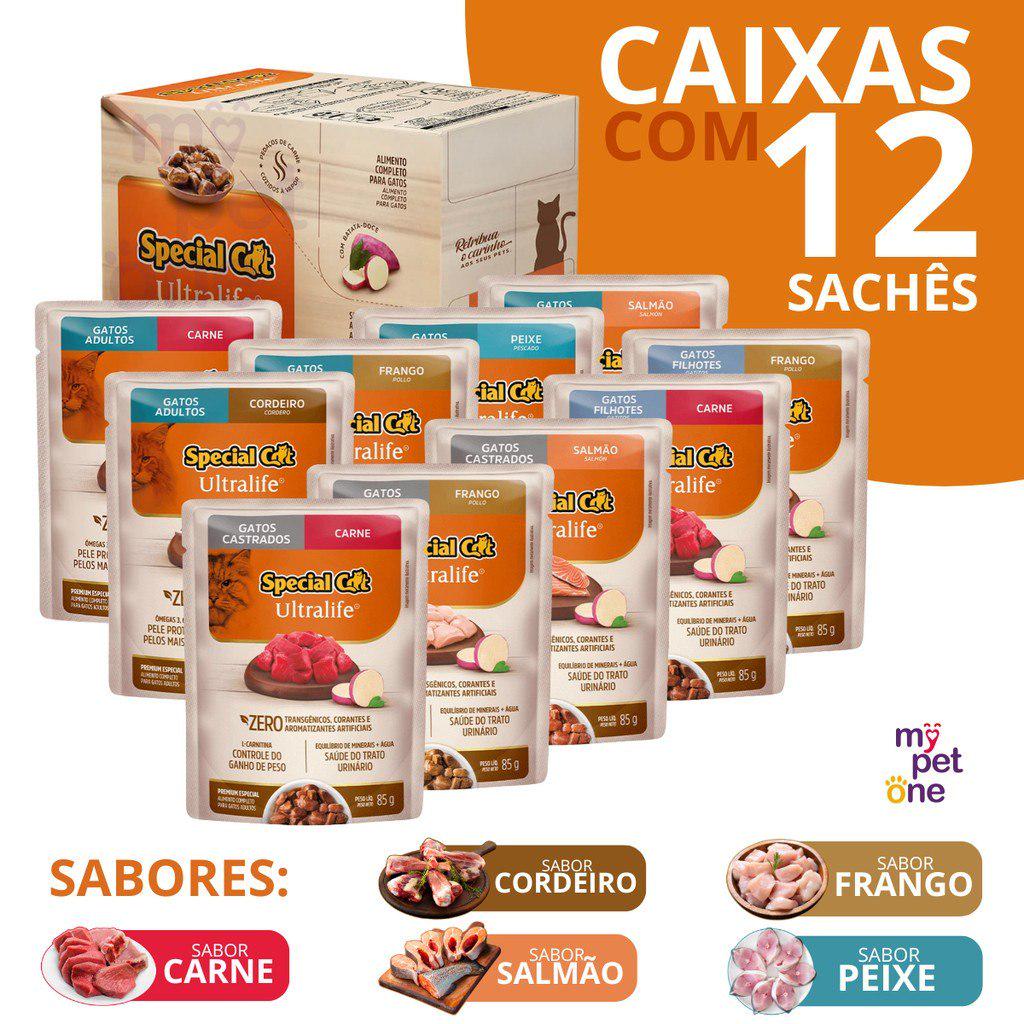 🐾 Caixa 12 Sachê Premium Special Cat