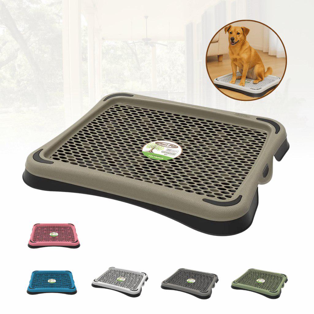 🐾 Tapete Sanitário Higiênico para Cachorro Eco Pipi Tapete