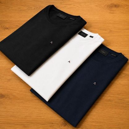 ➡️ Kit com 3 Camisetas Aramis Basic Lisa