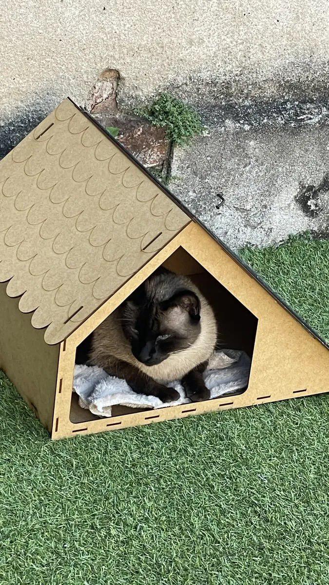 🐾 Casa Gato Rampa Arranhador Anti Estresse Casinha Toca Pet