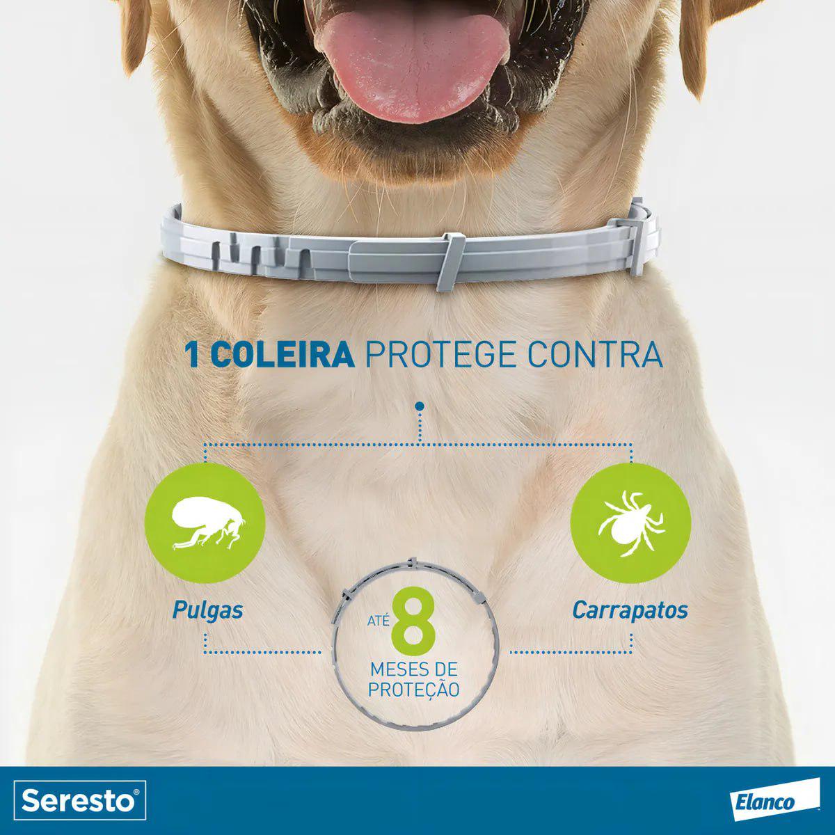 PROTEÇÃO PARA SEU MELHOR AMIGO