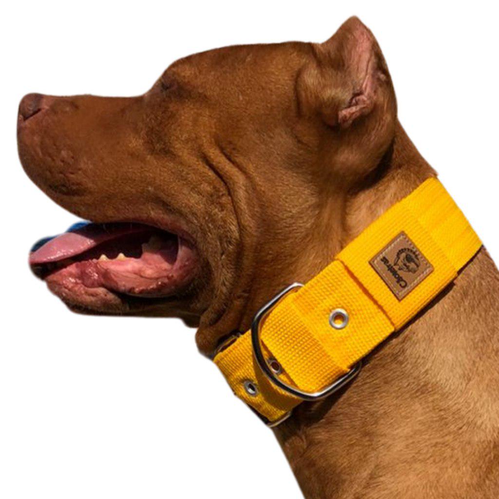 🐾 Coleira Larga Forte Para Cachorro de Médio, Grande e Gigante Porte Pitbull Rottweiler