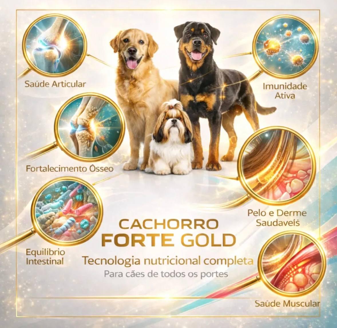 🐾 Cachorro Forte Gold 250g Suplemento para Cães com Ômega 3 Biotina Probióticos Vitaminas Minerais Aminoácidos e