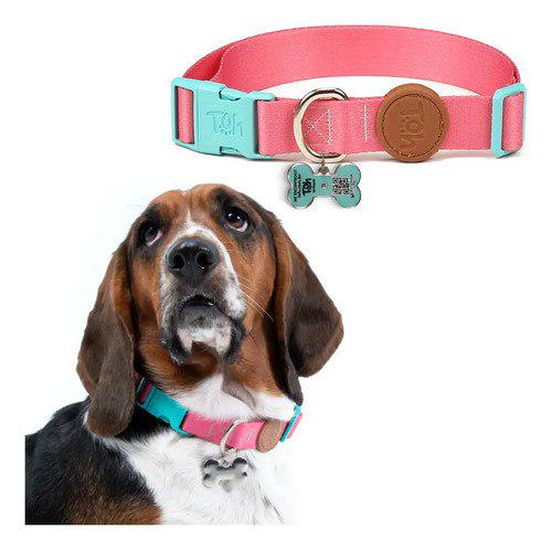 🐾 Coleira Pingente Identificação Tag Qr Code Toh Dog Cor Rosa Estampado Tamanho da Coleira M