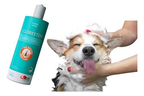🐾 Shampoo Cloresten 500ml Cães Gatos Dermatite Antibacteriano Aloe Vera