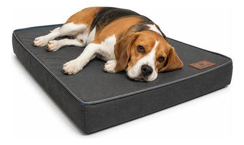🐾 Cama Colchão Pet Colchonete Para Cães Lavável Resistente M